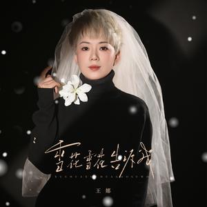 雪花雪花告诉我