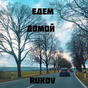 Едем домой