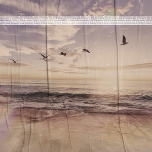 Eu Quero Ver o Oceano