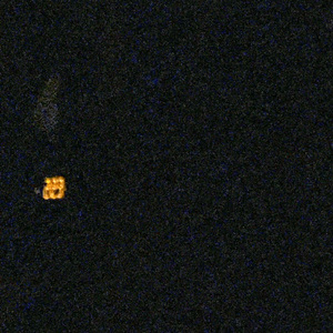 i have no sense of what home is