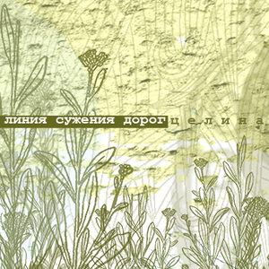 Дальнее окно