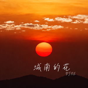 城南的花