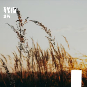 残夜-整曲