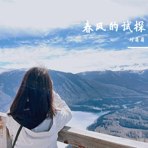 春风的试探