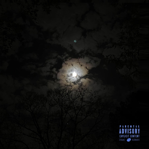 louis vuitton coat (feat. Nishatentachi)