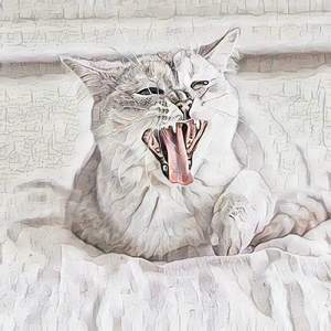 Axioms Experientialism