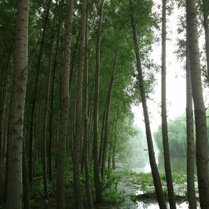 热恋的滋味像火锅沸腾