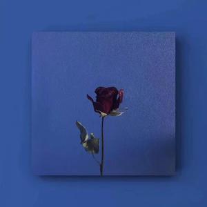 石渡太輔-Beautiful