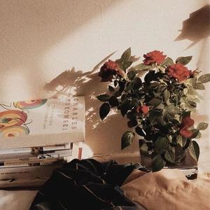 凤凰花开的路口（ukulele弹唱版）