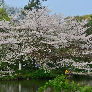 曾经说好的未来