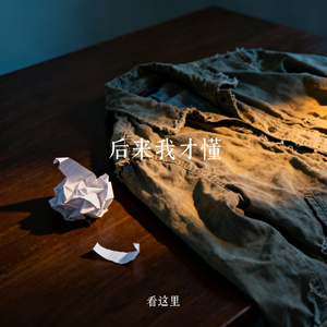 后来我才懂