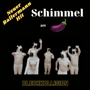 Schimmel