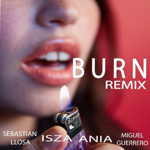 Burn (Remix) [feat. Sebastian Llosa, Ania & Miguel Guerrero]