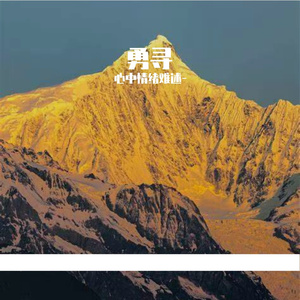 雾里慢流年