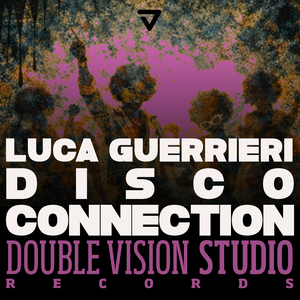 Disco Connection (Radio-Edit)