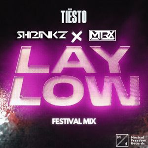 Lay Low (ShrinkZ X MTRX Festival Mix)