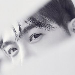 天纵风流（张智尧古装角色群像填词）