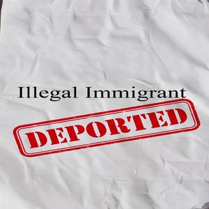 Illegal immigrant