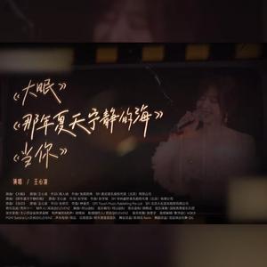 大眠+那年夏天宁静的海+当你（cover 王心凌）