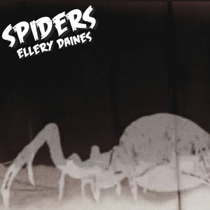 Spiders