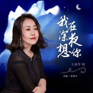 我在深夜想你