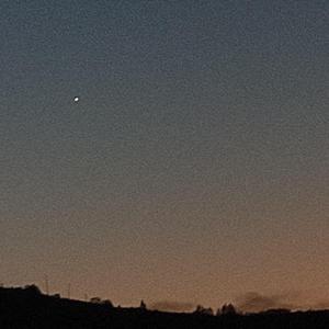 愿世间美好与你环环相扣-买奶茶被骗的歌