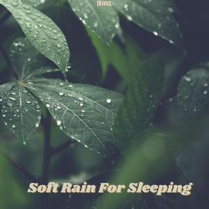 Rain Sounds For Sleeping
