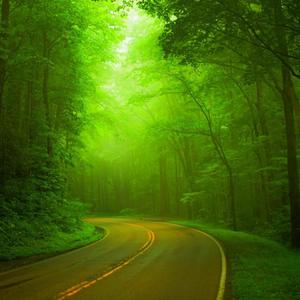 爱情的世界没有人地知道3