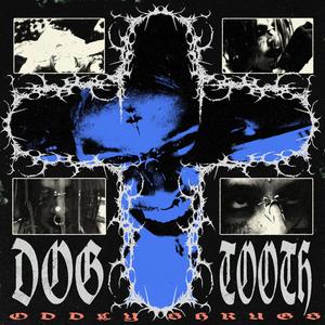 Dogtooth