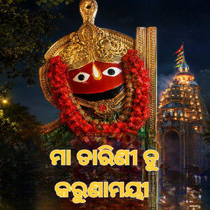Maa Tarini Tu Karunamayee