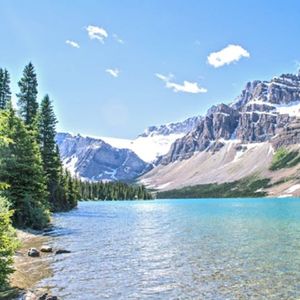 野鹤（喝茶轻音乐）