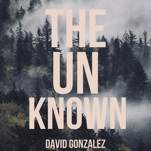 The Unknown