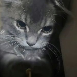 【Free】"雨夜“ 情绪 Type Beat