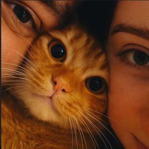 Barmayman （不会给）