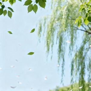 不过如此 (郭小成 Remix)