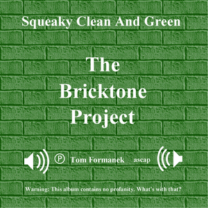 Say Somethin' sexy (feat. Tom Formanek)