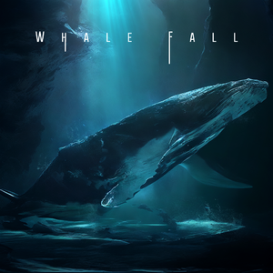 Whale Fall