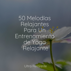 Navegando En La Nube