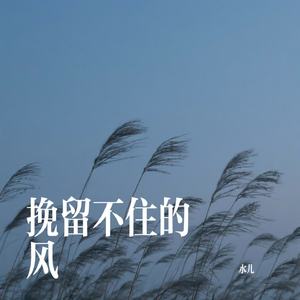 挽留不住的风