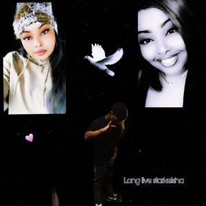 STARKEISHA WORLD LL (feat. luhhD4)