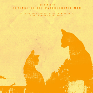 Get Pissed, Talk Shit, Dance Like an Idiot