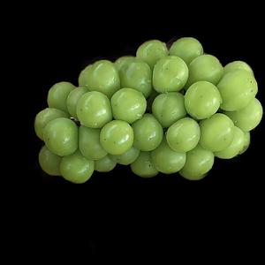 没有人不比我快乐