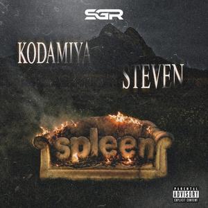 SPLEEN