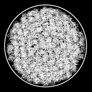 〇（Cover 洛天依）