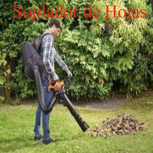 Soplador de Hojas