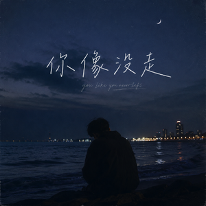 你像没走