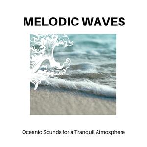 Sparkling Night Sound