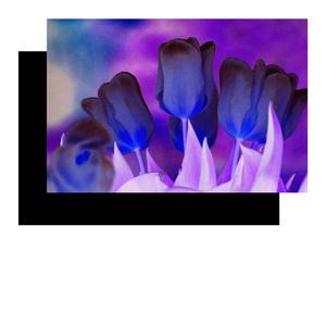 Vira II (with glowtrooper)