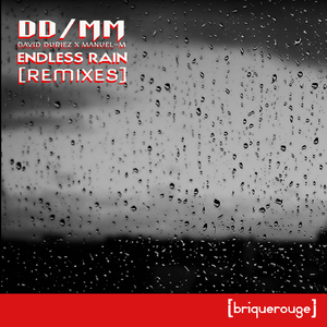 Endless Rain (David Duriez Raw Chicago Mix)