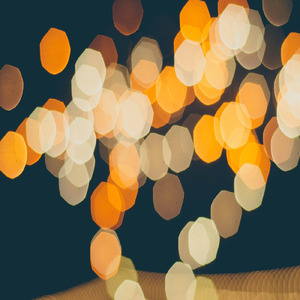 Synthetic Eden -咲き誇る終わりなき始まり-